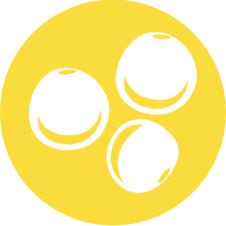 Altramuces