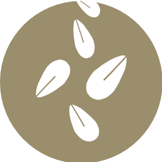 Sésamo